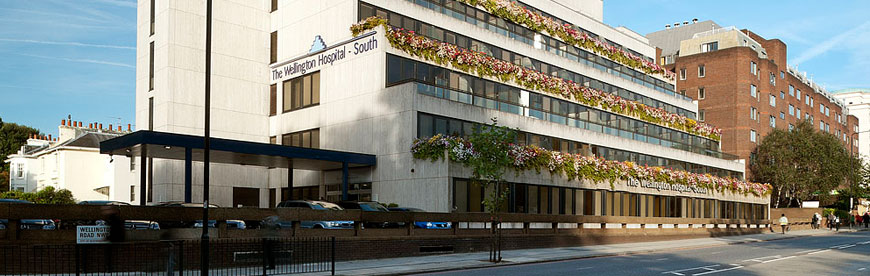 The Wellington Hospital, South site